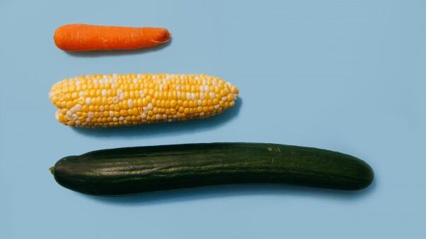Different sizes of a male member in a vegetable sample